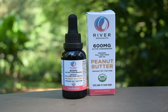 600 mg Pet Tincture (for medium/ large dogs)