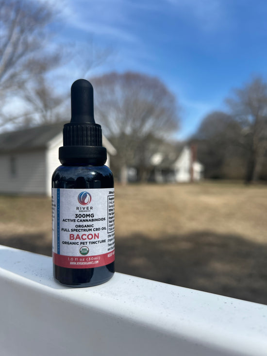 300 mg Pet Tincture (for small dogs/cats)