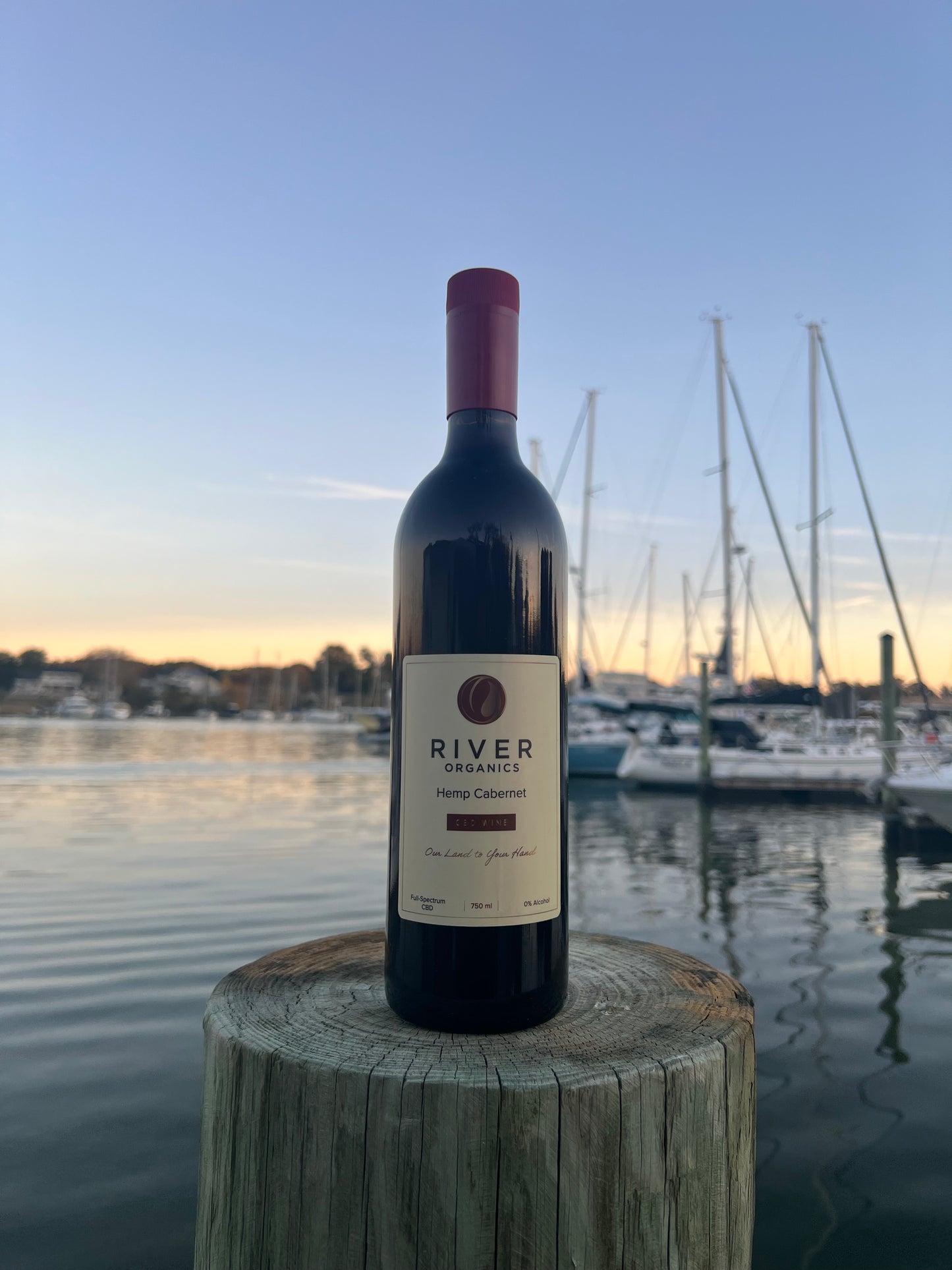 cbd cabernet on dock by the water