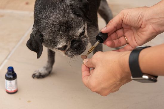 300 mg Pet Tincture (for small dogs/cats)