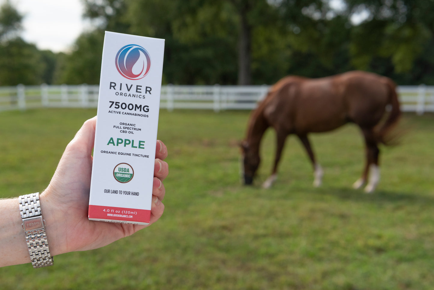 7500mg pet tincture apple flavor in field with horse