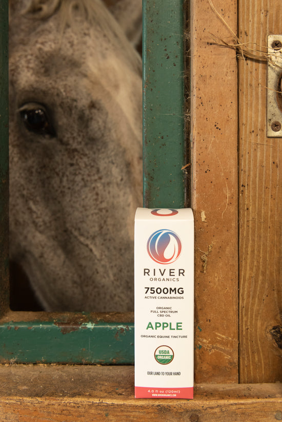 7500mg pet tincture apple flavor with horse